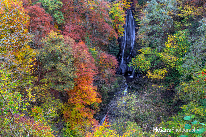 Autumn Achran