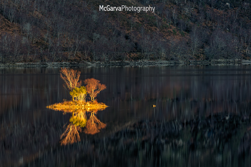 Torridon Torch