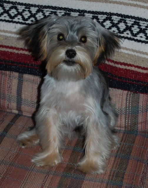 Reggie2279.jpg