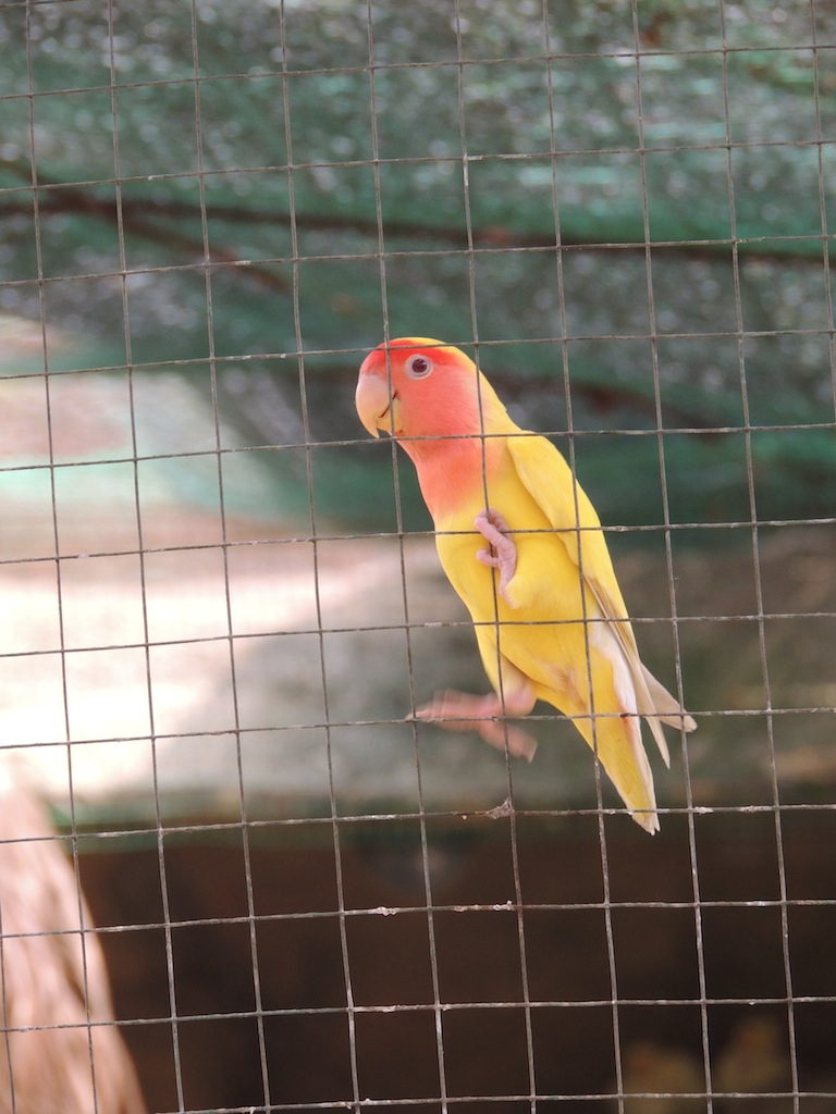 DSCN8905.JPG