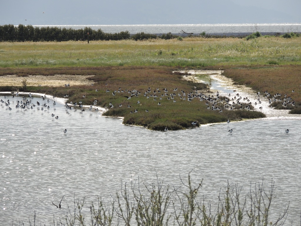 DSCN4016.JPG