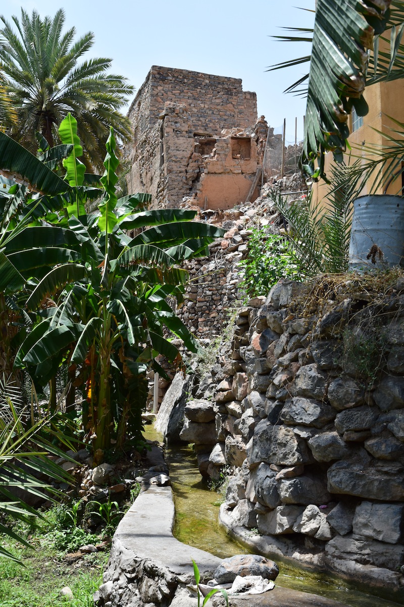 DSC_0784.JPG