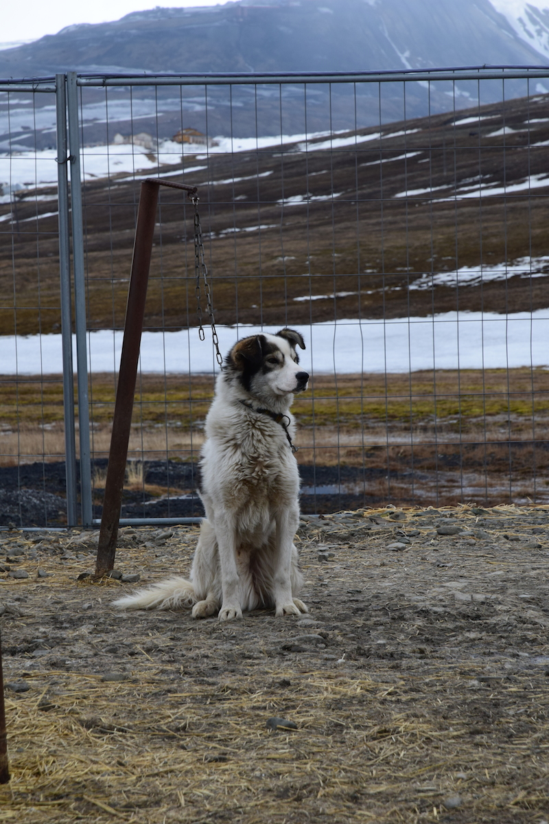 DSC_2161.JPG