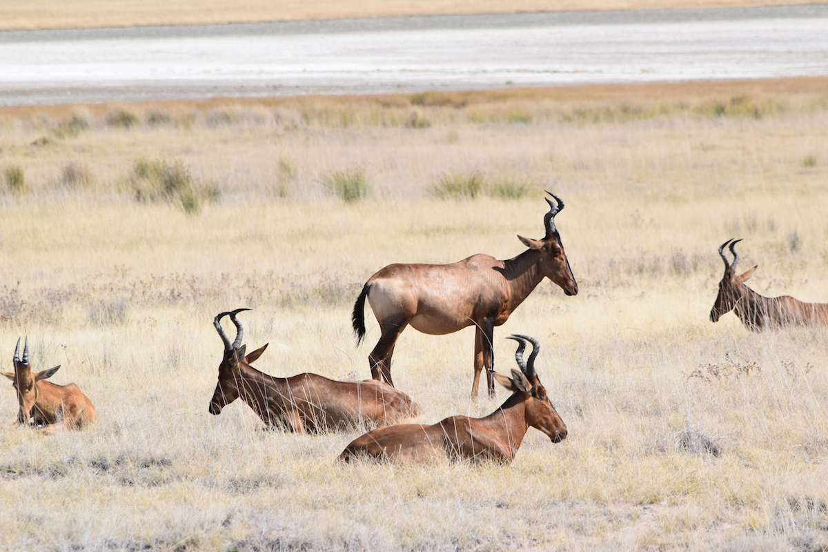 DSC_3843.JPG