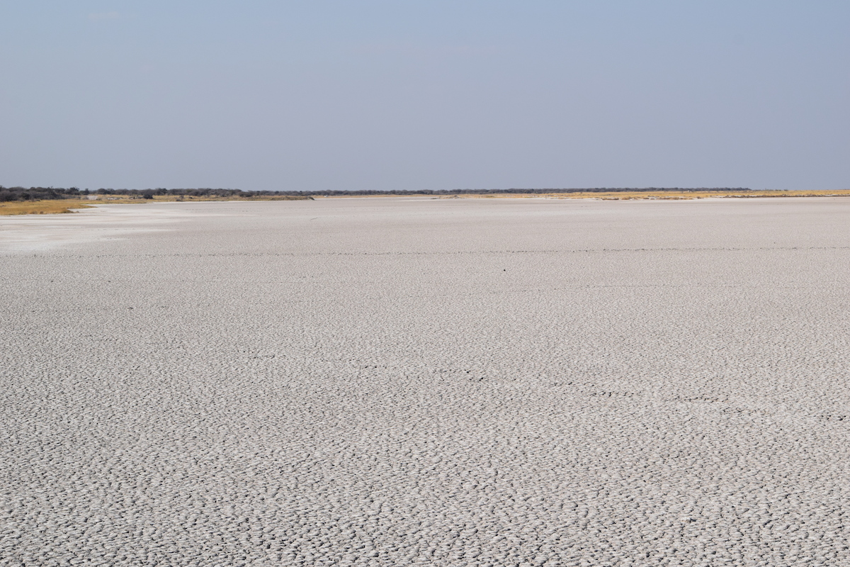 DSC_3947.JPG