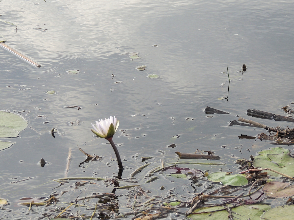DSCN7533.JPG