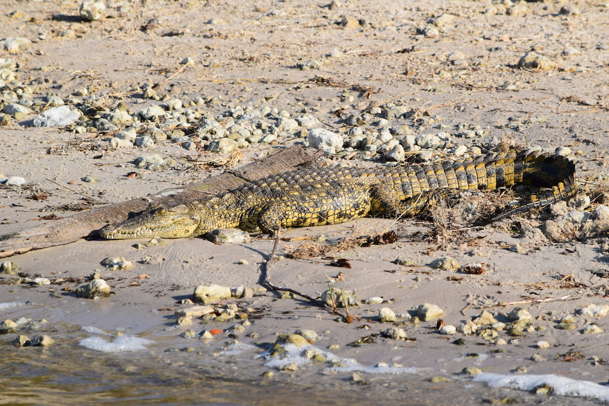 DSC_4806.JPG