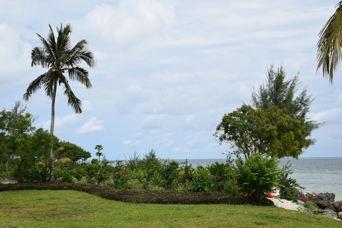 DSC_6130.JPG