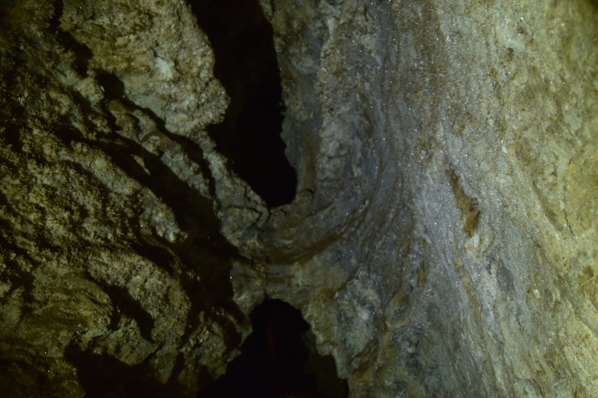 DSC_6170.JPG