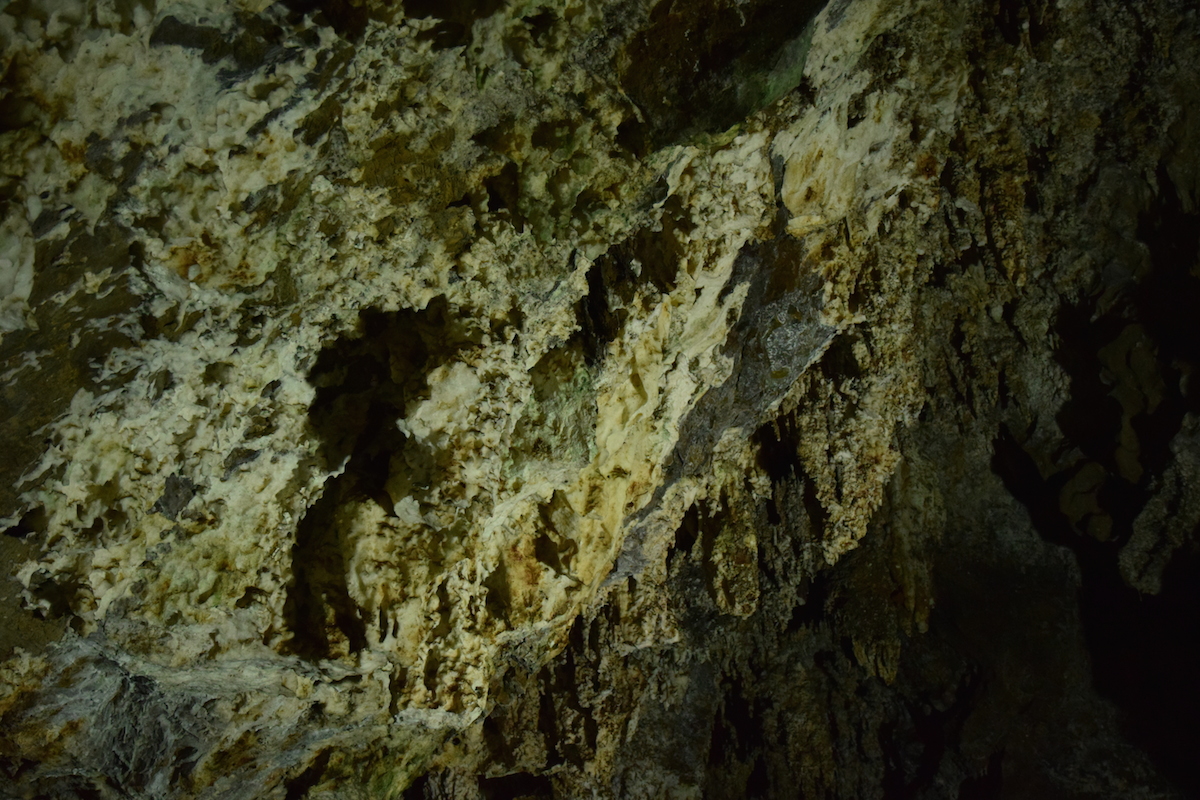 DSC_6180.JPG