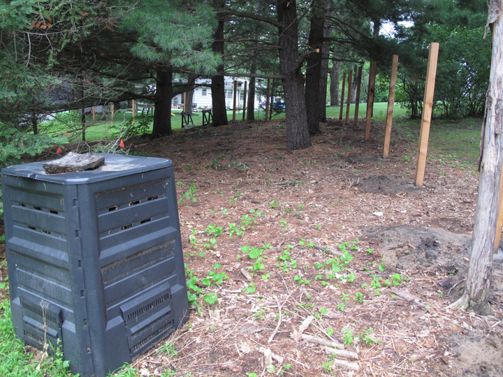 East side of the yard