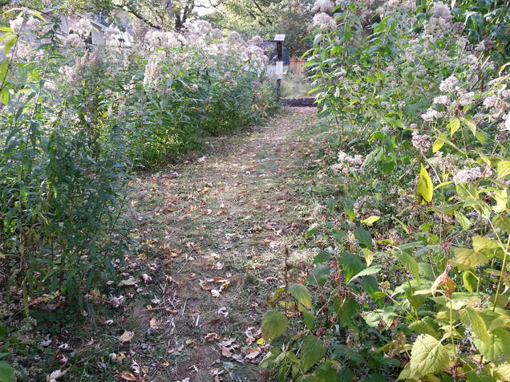 Garden path