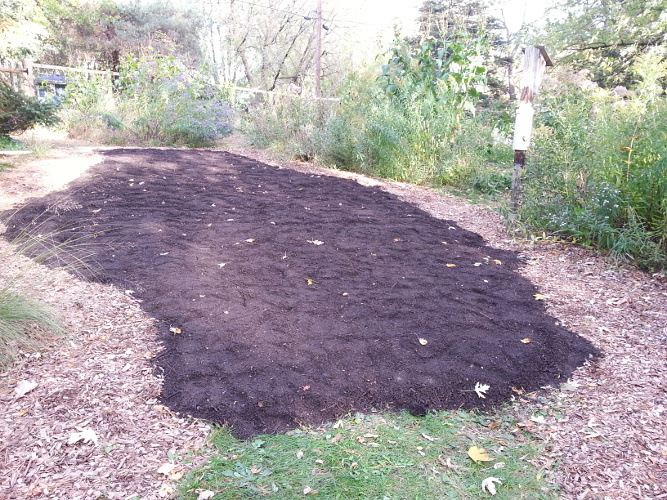 Seeded area