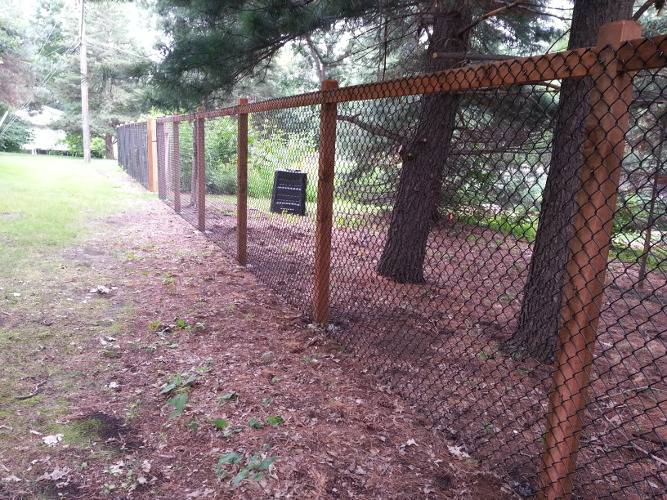 Fence at the back of the yard