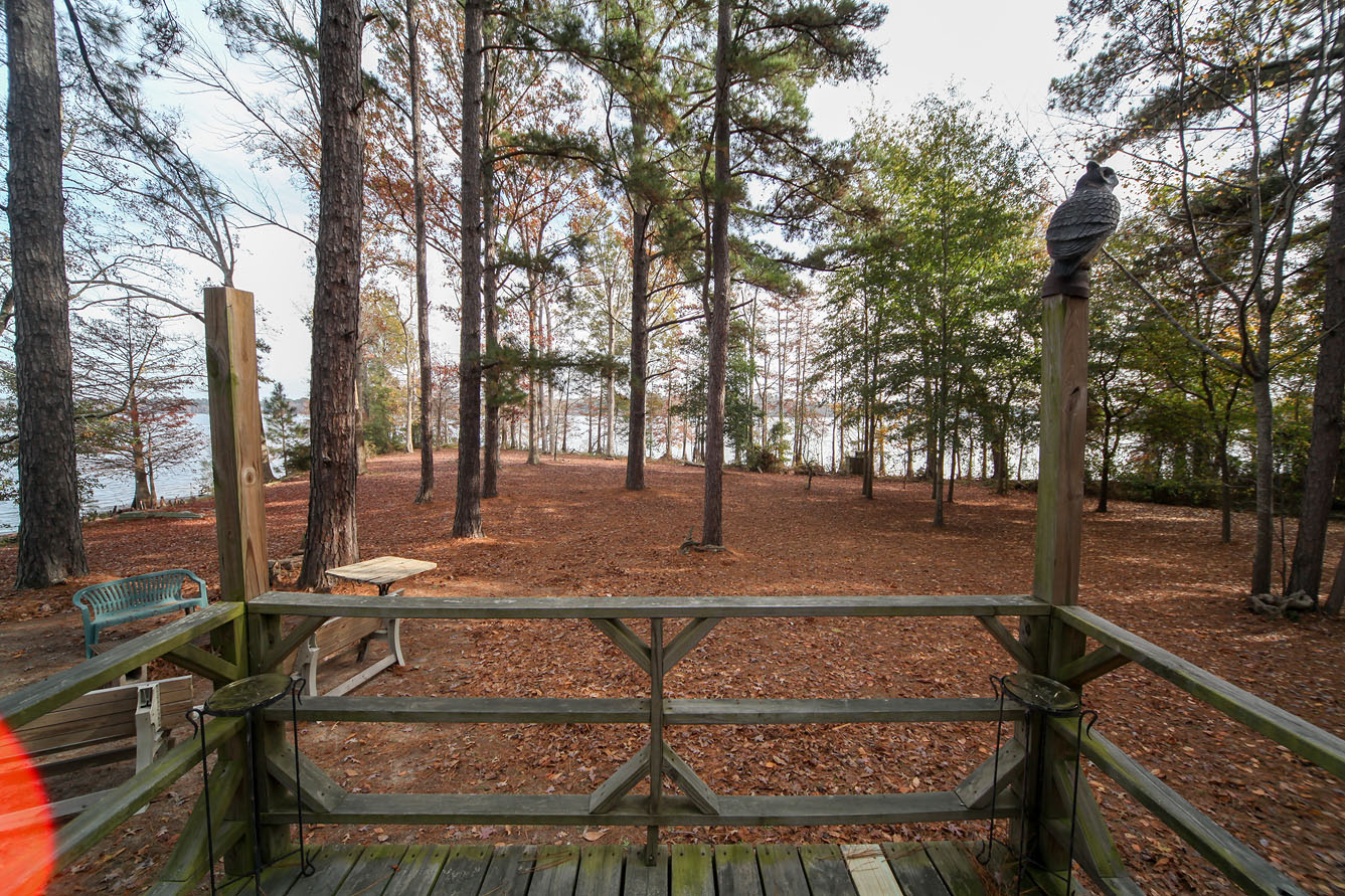 cabin deck looking SE.jpg