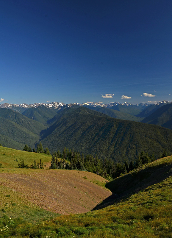 Hurricane Ridge