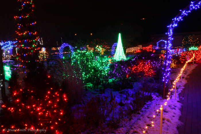 Boise Botanical Garden a Glow Dec 31 2015_-24.jpg
