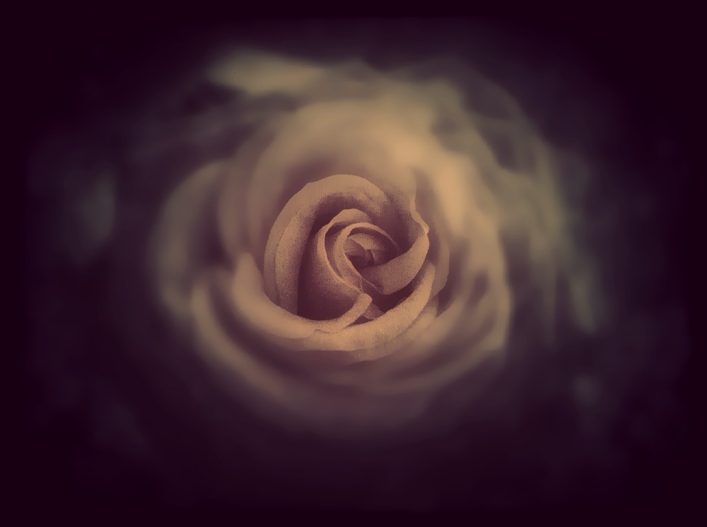 Moody rose...