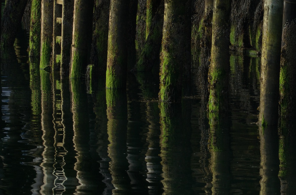 Under the fishing  wharf  Rockport