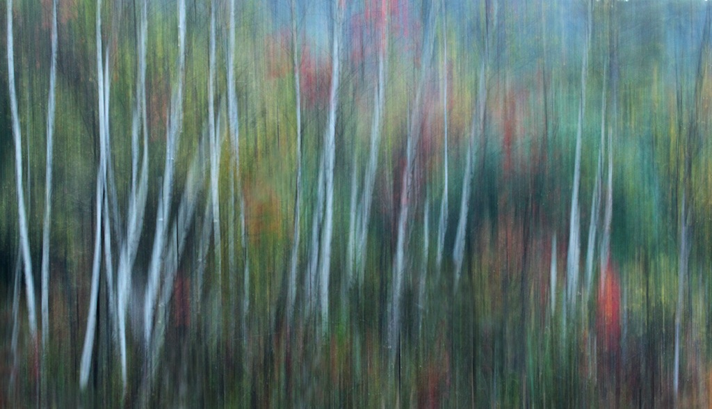 In the early autumn light