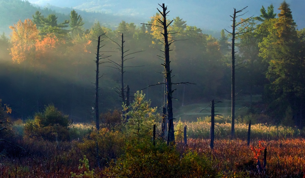 Autumn morning in New Durham 