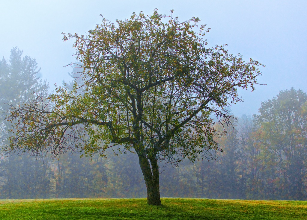 Standing alone in autumn