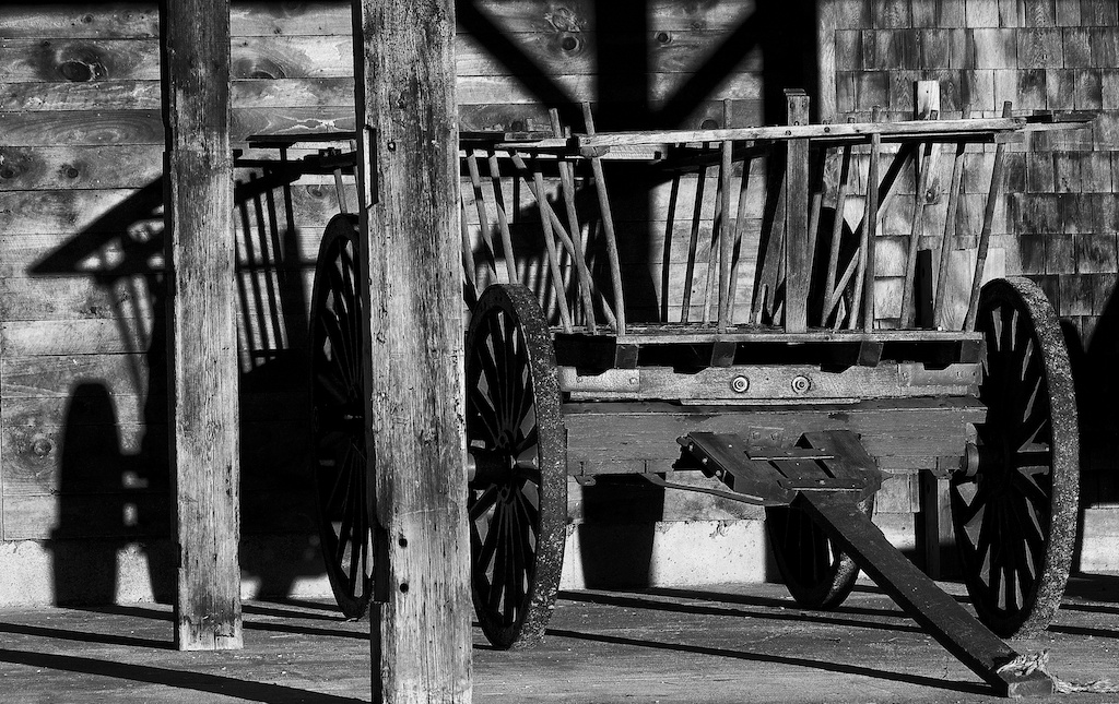 Tamworth farm