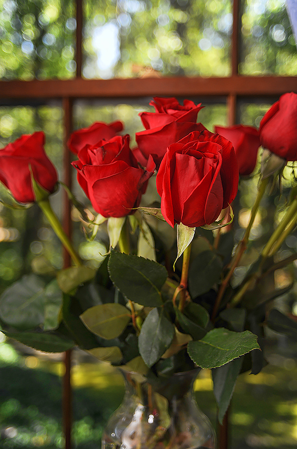 Rosier