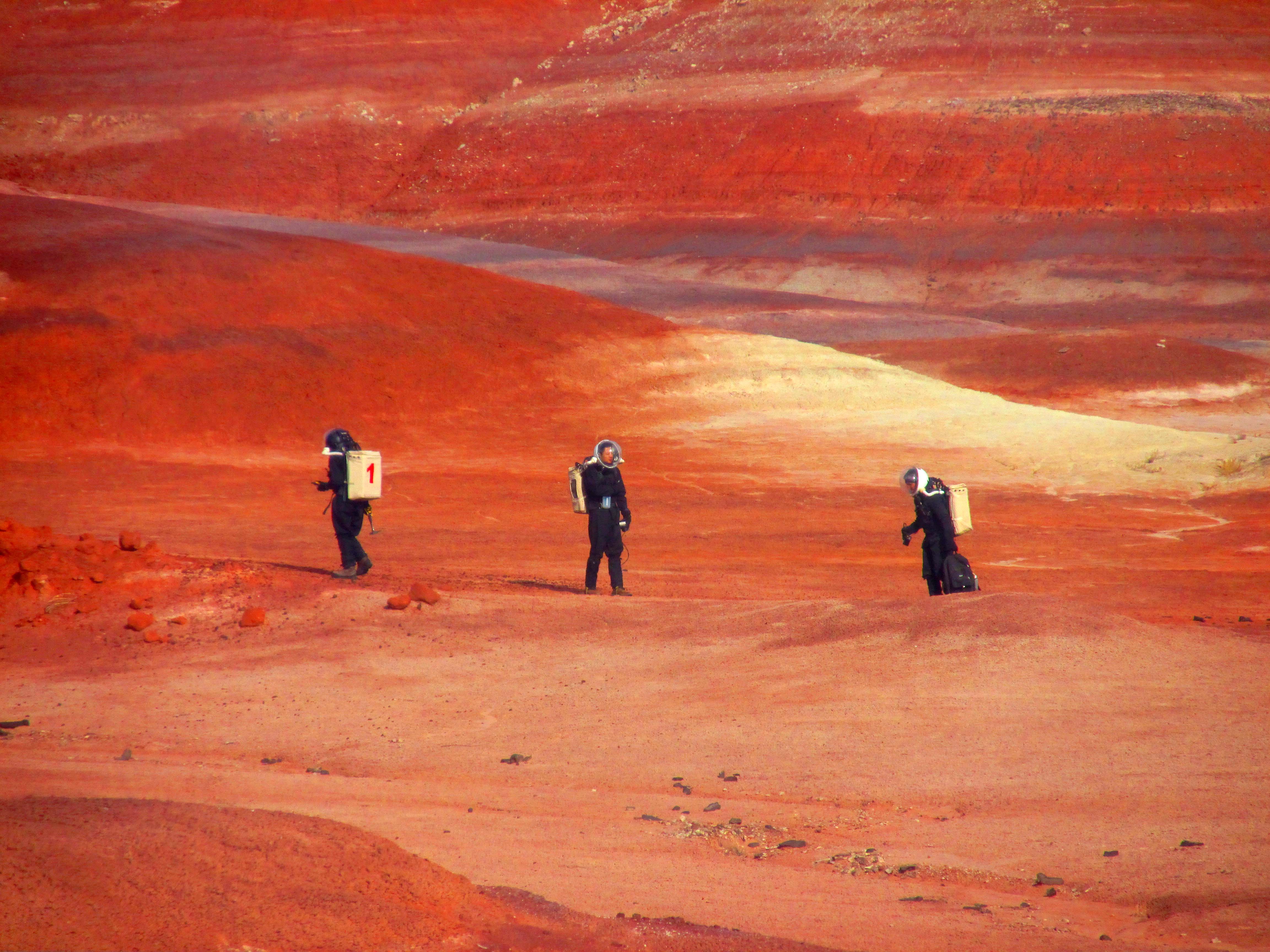 Astronautes analogiques collgues - MDRS  Antonio DE MORAIS  2014.jpg