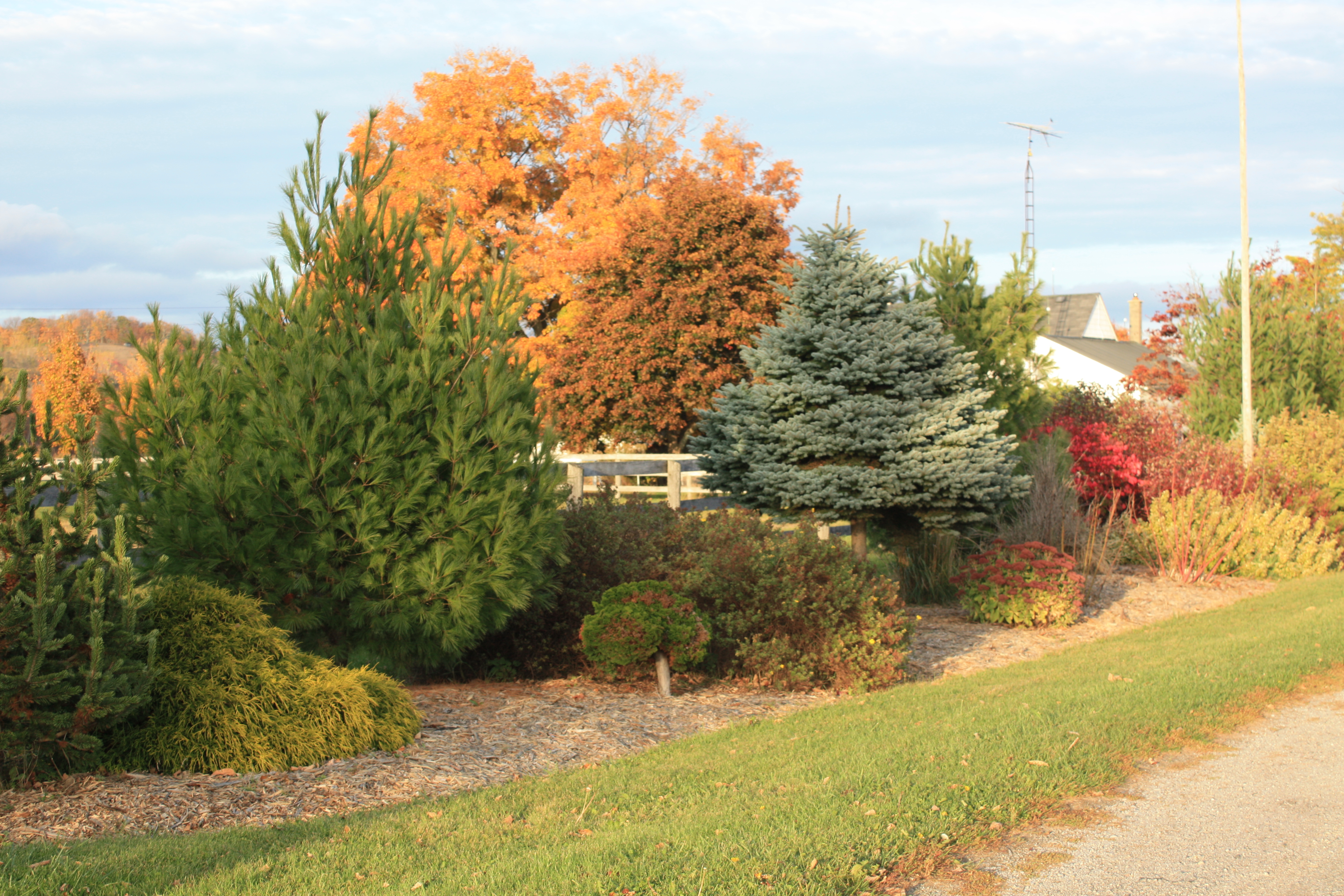 Front garden