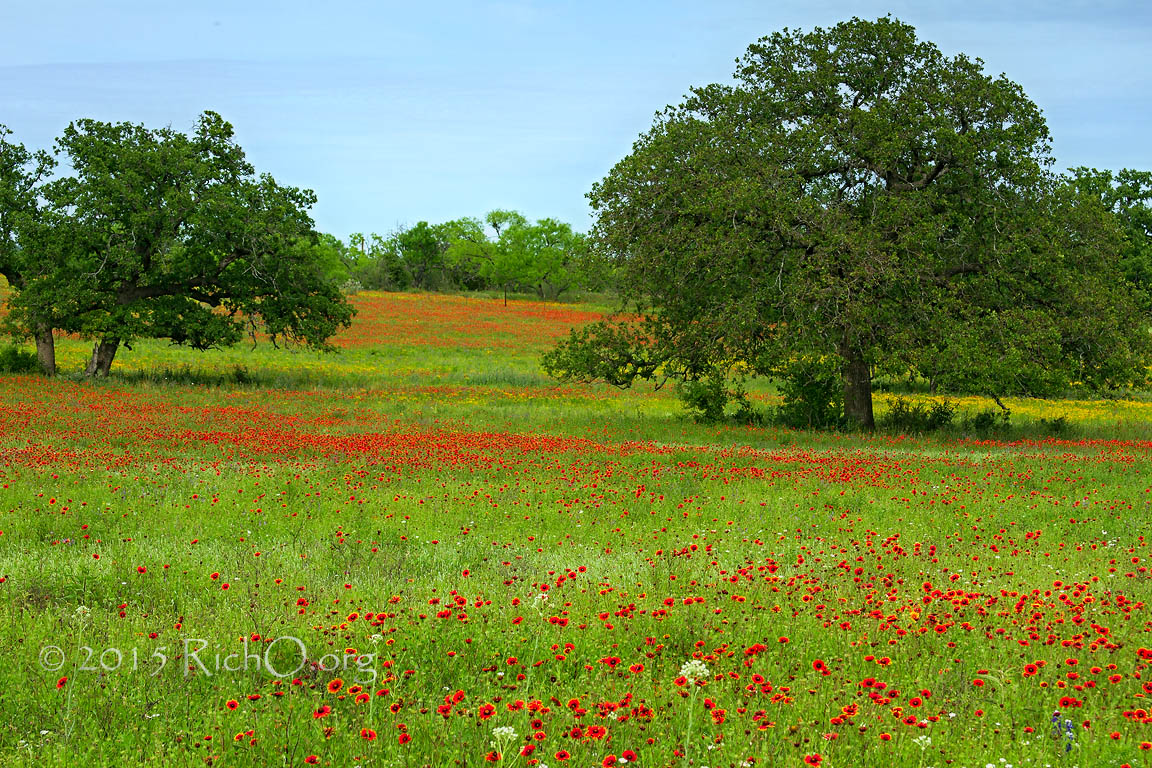 Hill Country Fire