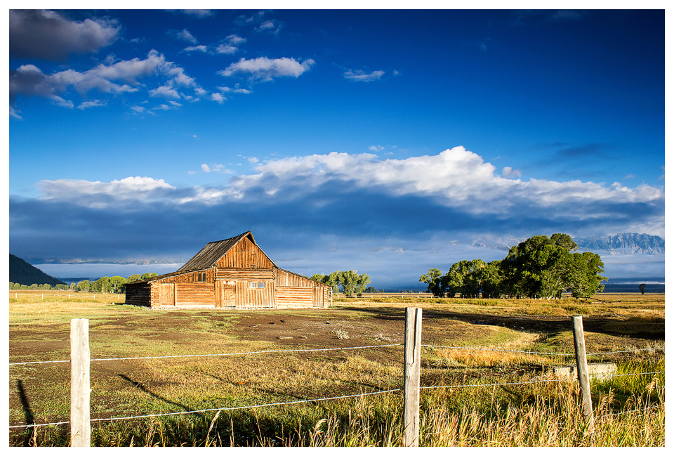 Early morning at Mormon Row