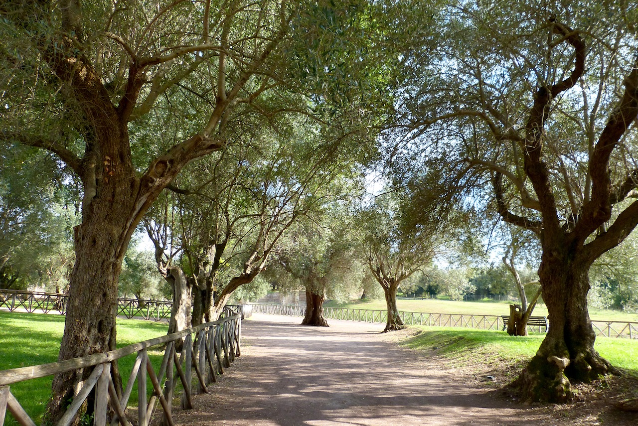 999 1264 Villa Adriana 2014.jpg