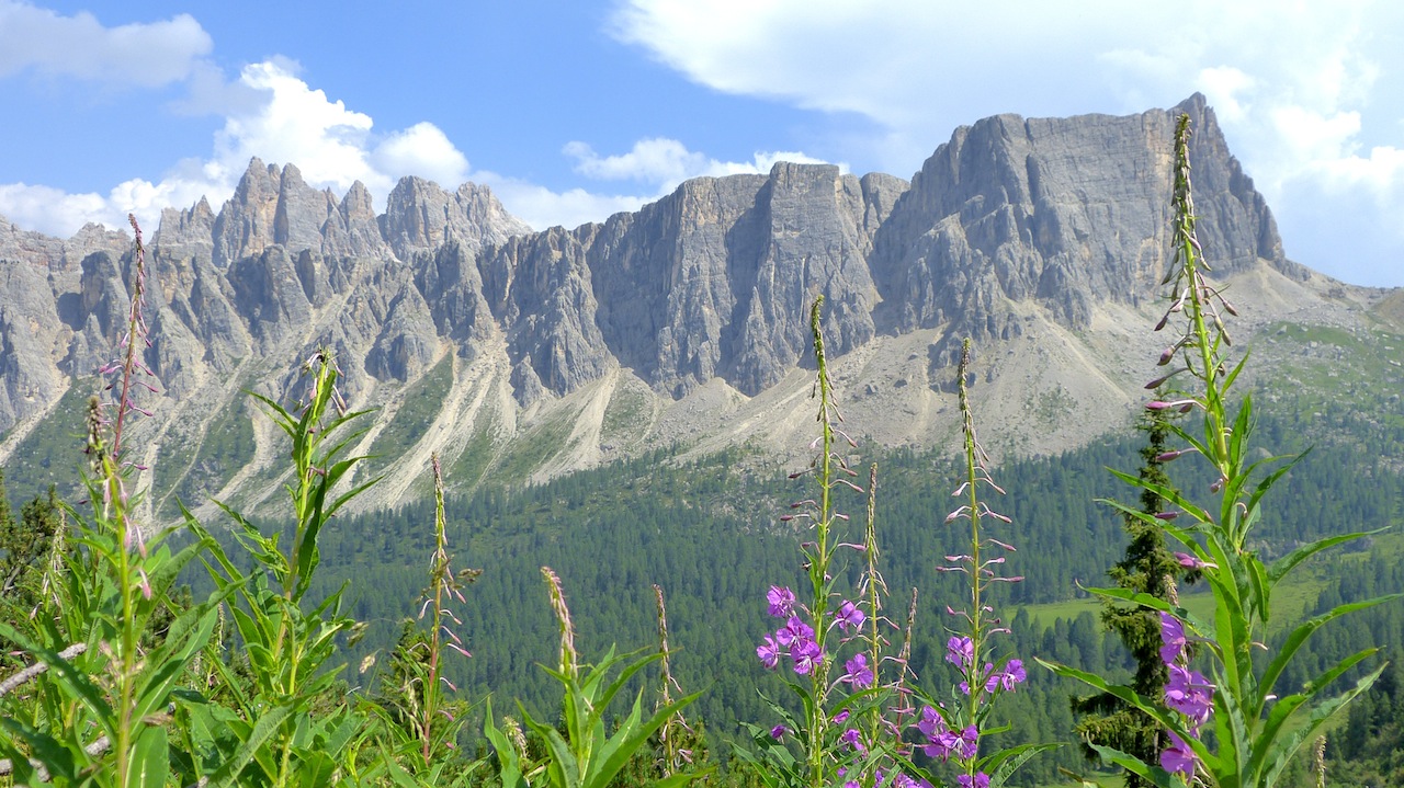 259 Grande Strade delle Dolomiti Passo Giau.jpg