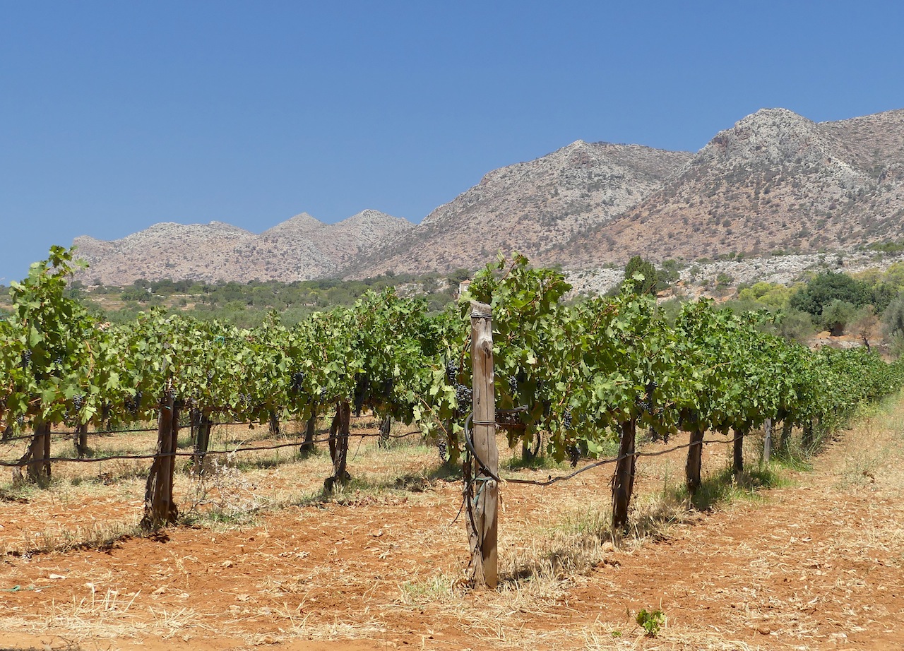 336 Monastery of Agia Triada Crete.jpg