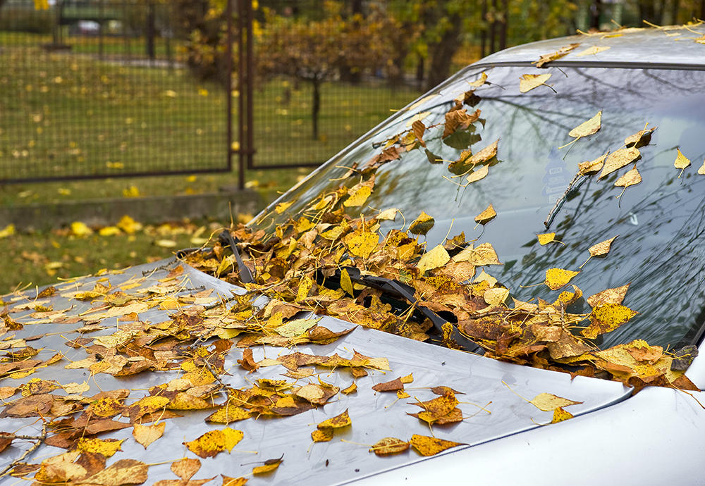 Fall, Fall...