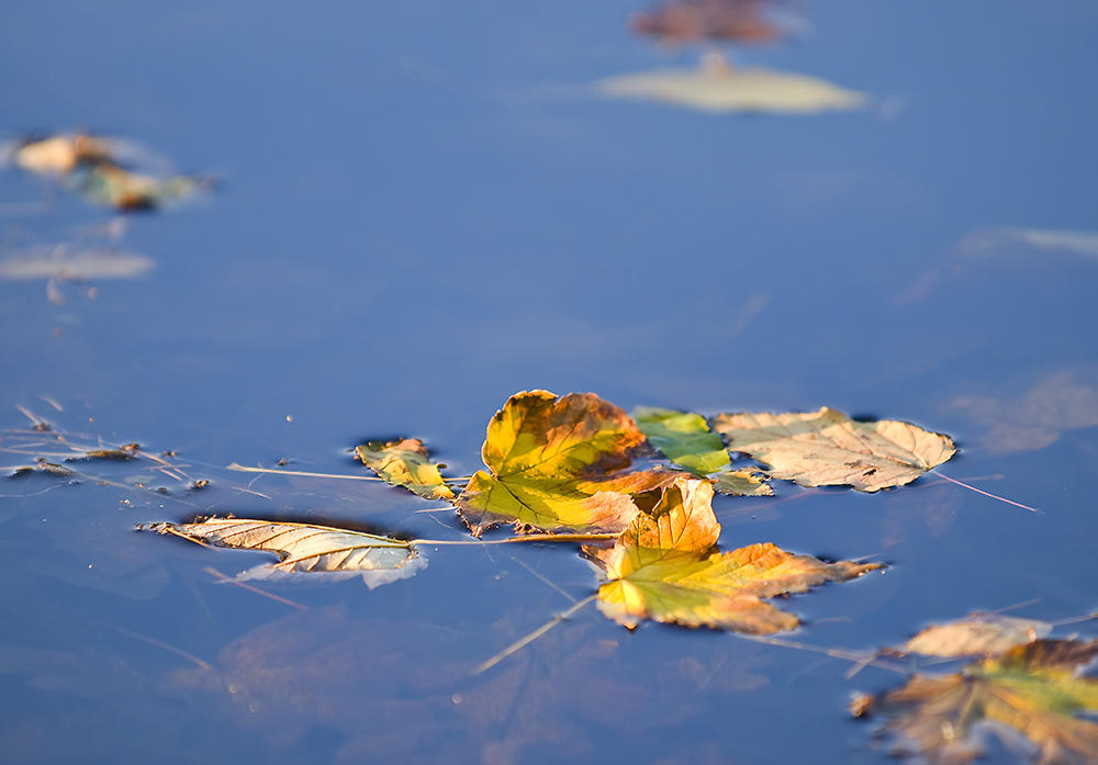 Yellow And Blue