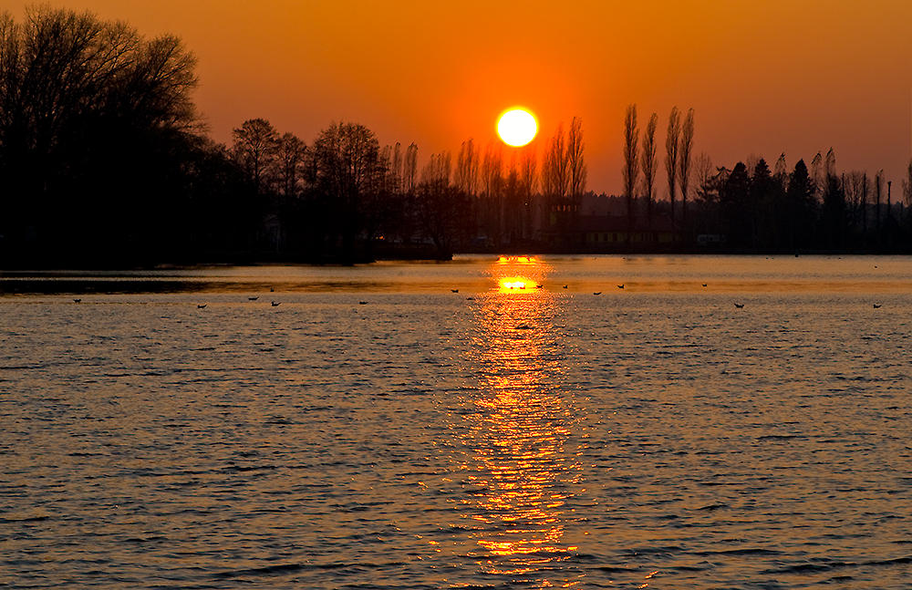 Sunset Ball Falling