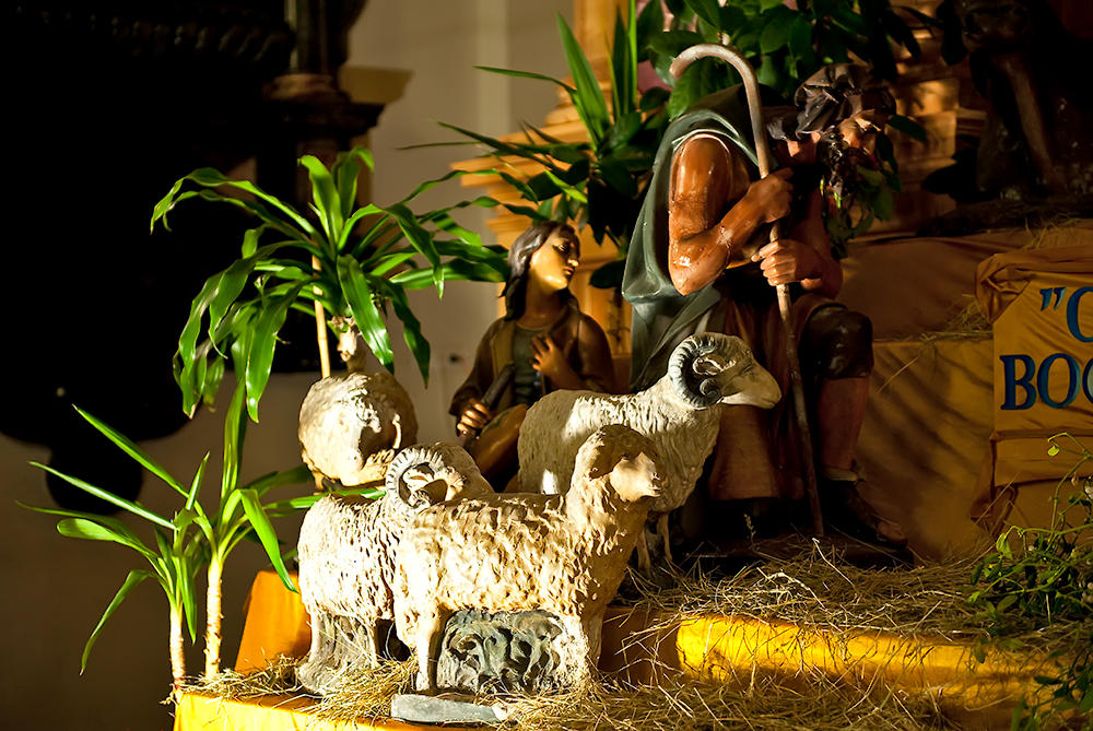 Shepherds