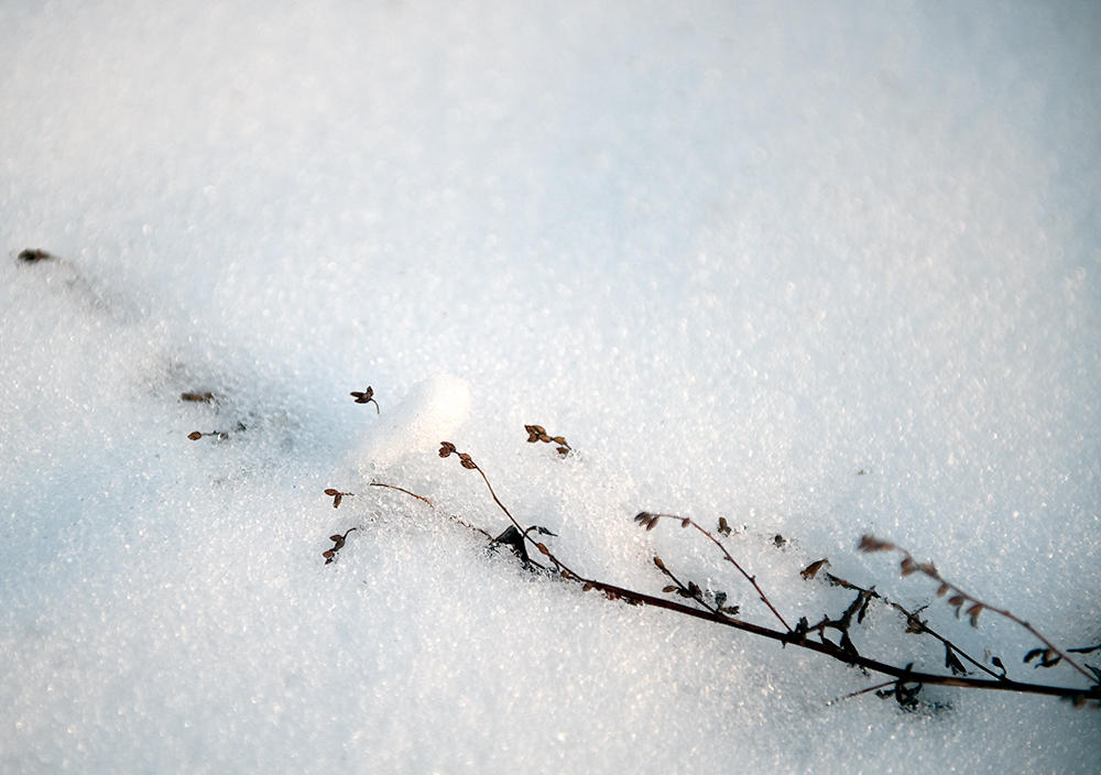 Winter Minimalism
