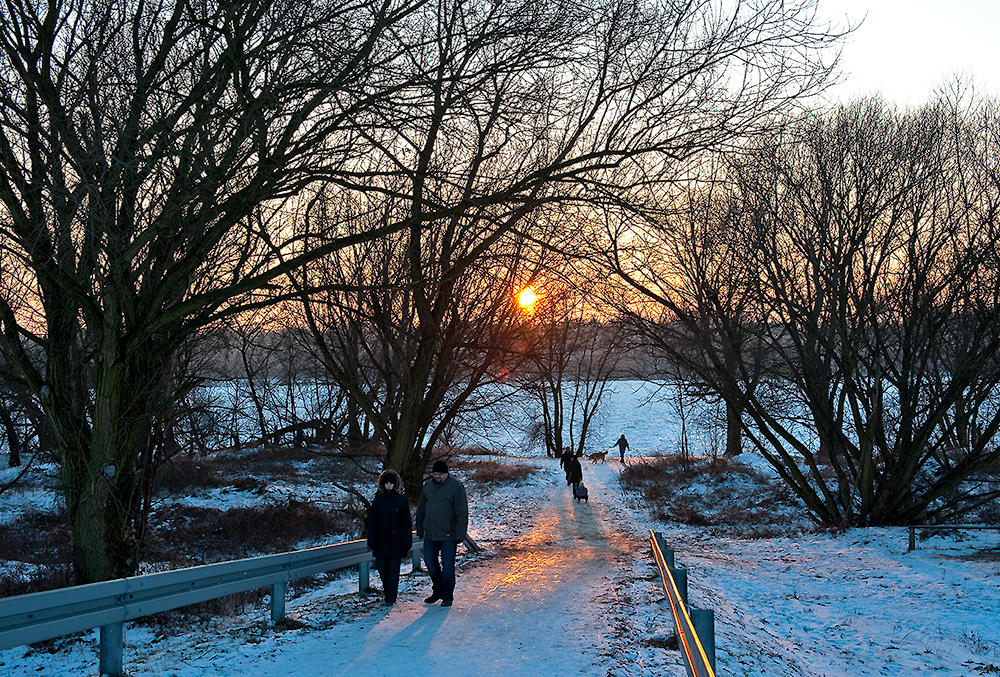 Winter Walk At Sunset