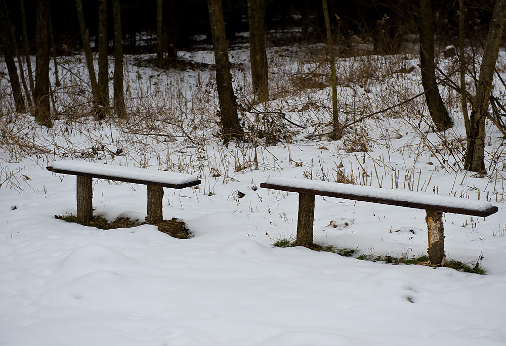 Winter Repose