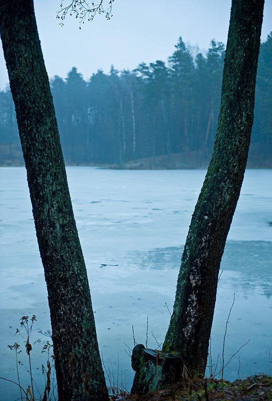 Frozen Pond