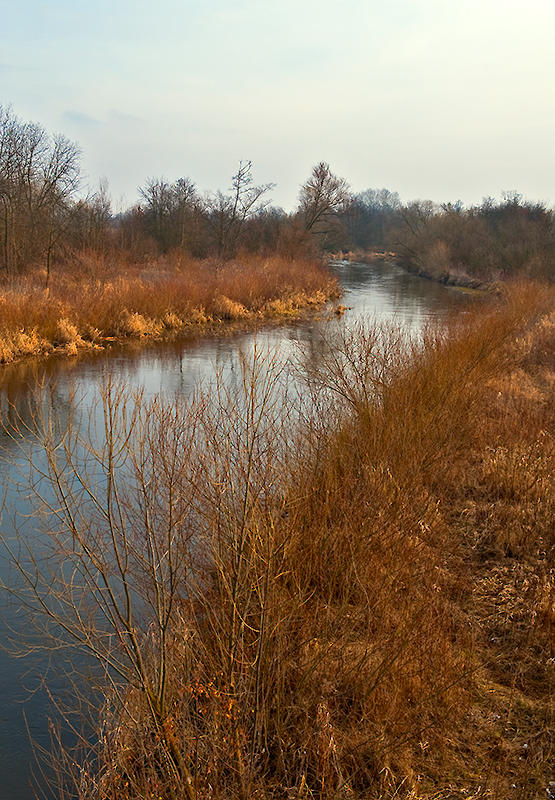 Tanew River