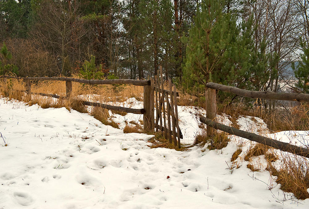 Open The Gate