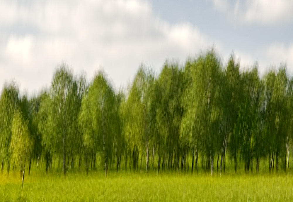 Green Dream Of Spring