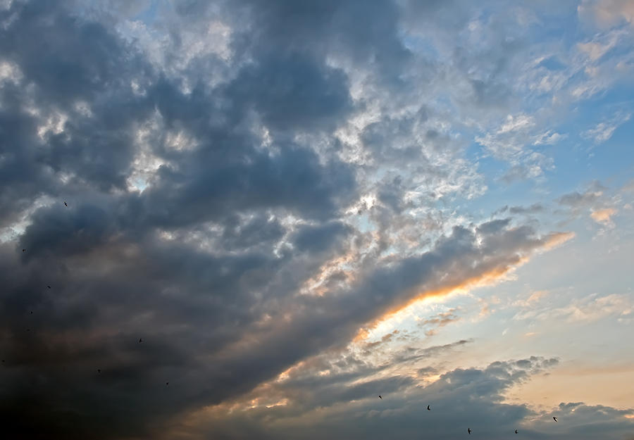 Birds And Clouds