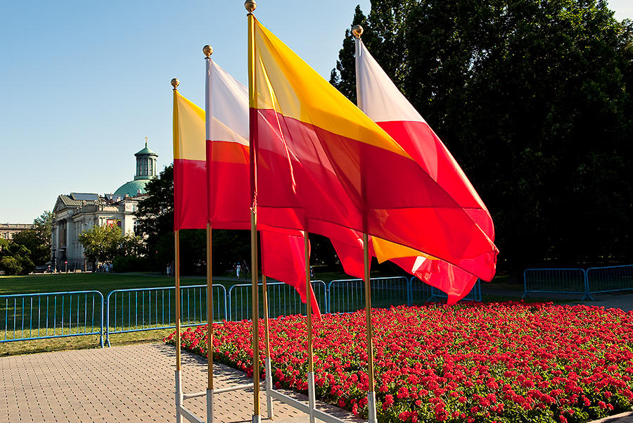Red On Flags, Red On Flowers