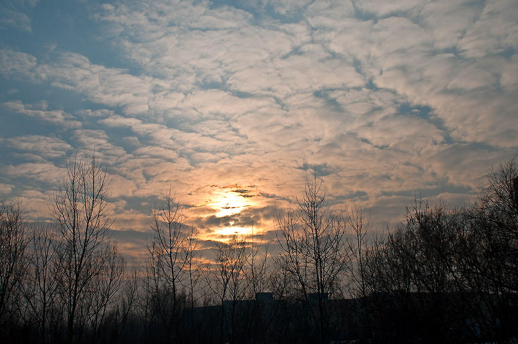 Sun, Clouds  And Trees