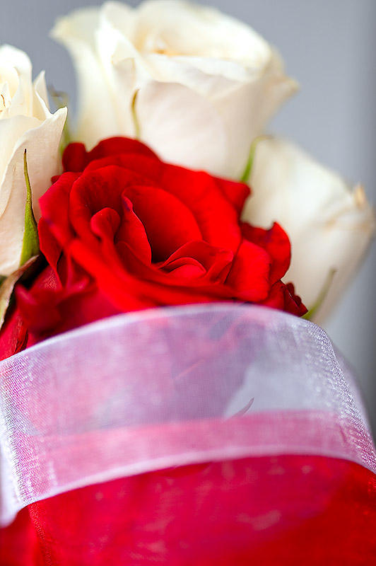 White And Red Petals